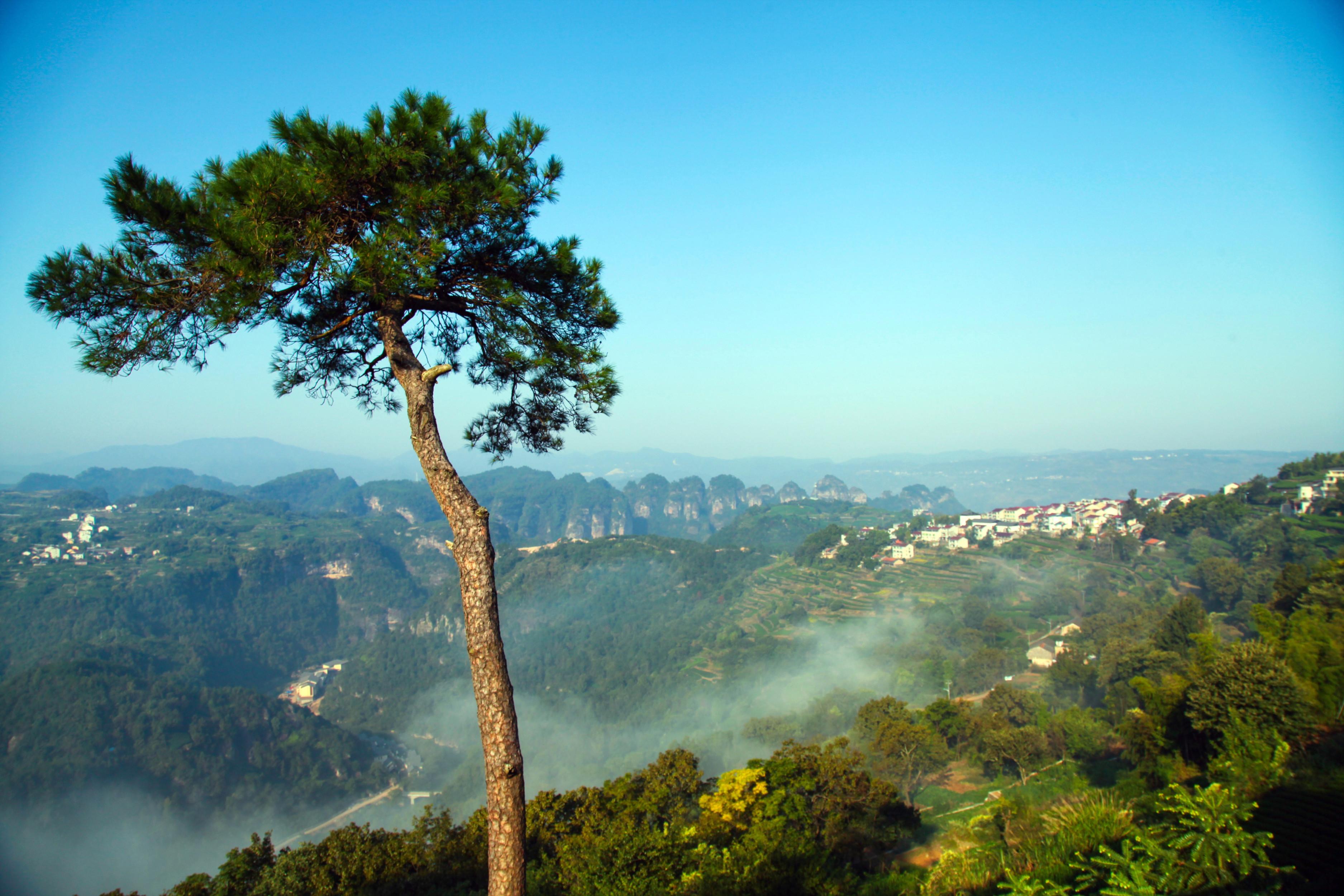 新昌穿岩十九峰农家乐住宿,绍兴穿岩十九峰风景区