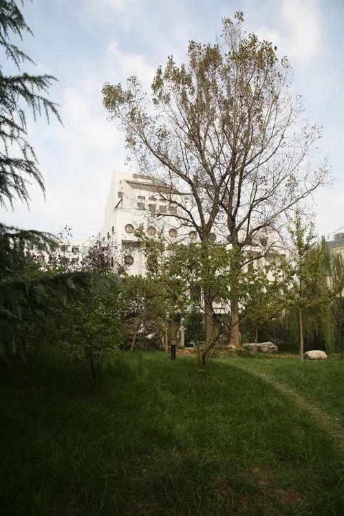 西安美院:中国九大美院之一,我国最早开办艺术专科的院校之一