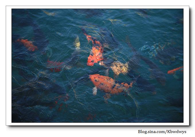 生活杂记|济南章丘百脉泉（20111212）