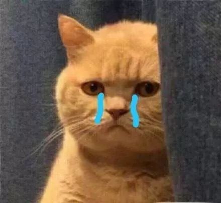 江苏中小学智慧教育,江苏教育最好的城市