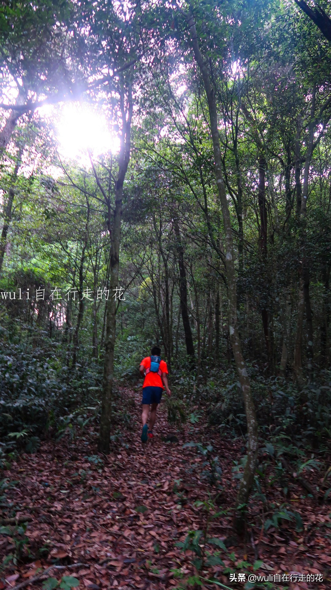 福州十八重溪徒步路线,福州森林公园登山徒步路线