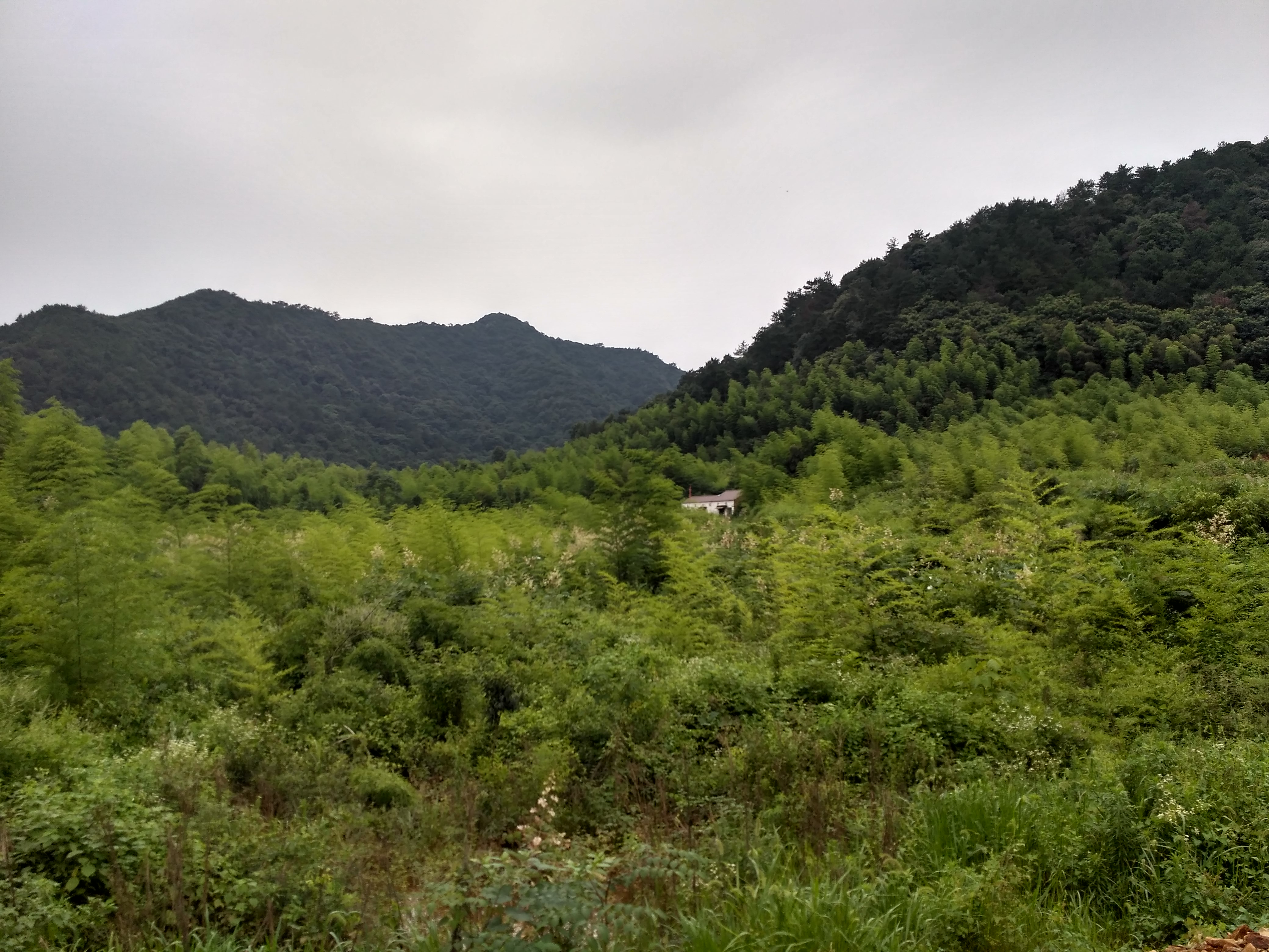 齐春生态园大概花多少钱,贵池齐春生态园