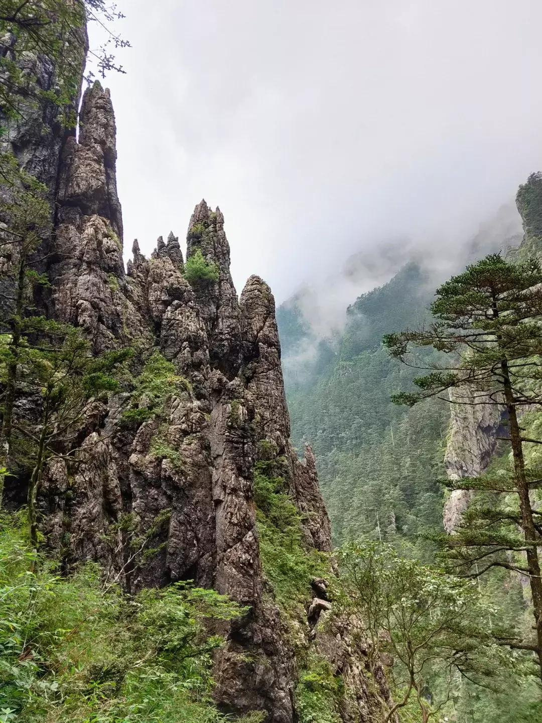 神农架攻略书,重庆出发神农架三日自驾游攻略