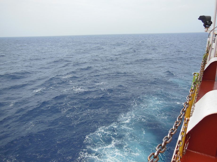 海员实习期有6000工资是不是真的,海员工资为什么不全额发放