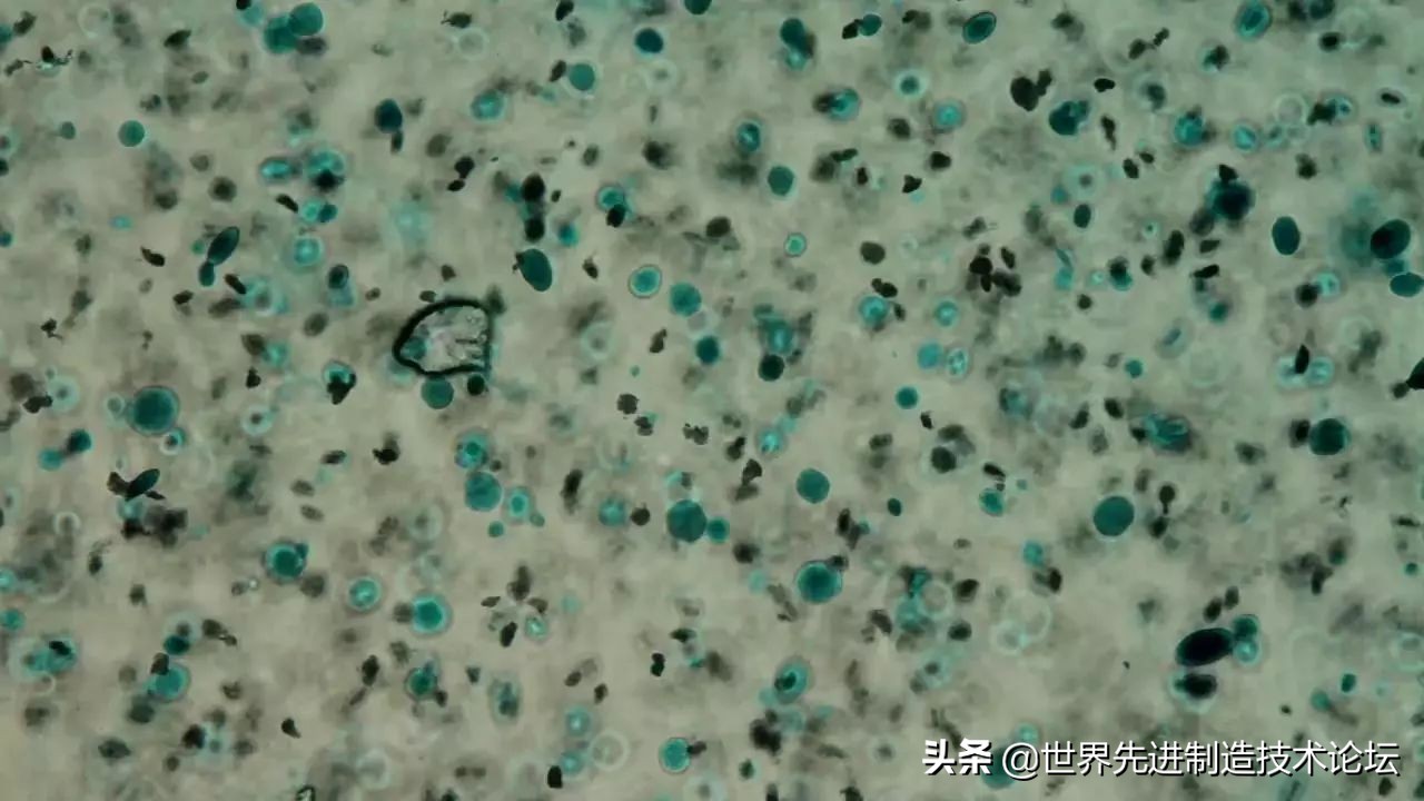 mit混合学习项目,mit并发编程课程