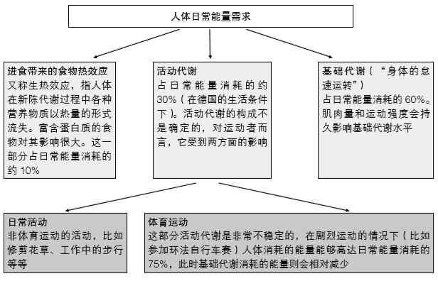 俯卧撑宽距和窄距哪个更适合减脂,十种公认最有效的减脂运动俯卧撑
