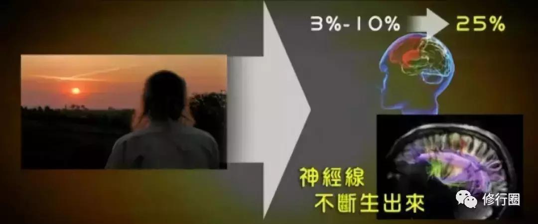 以太阳为食物的人,以阳光为食