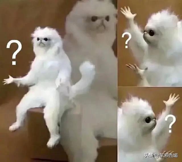 太离谱了，还我酷飒女精英啊