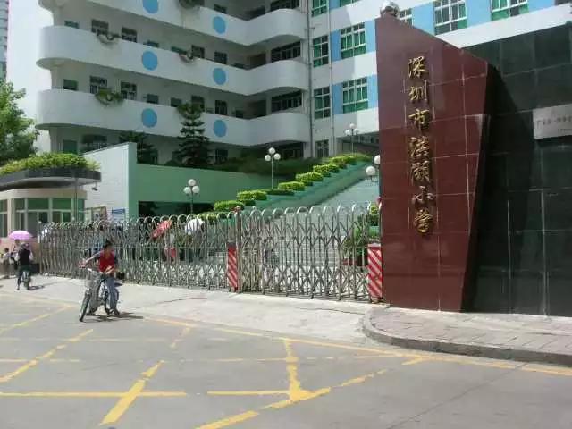 罗湖区小学第一梯队是哪几所,罗湖区历年小学排名一览表