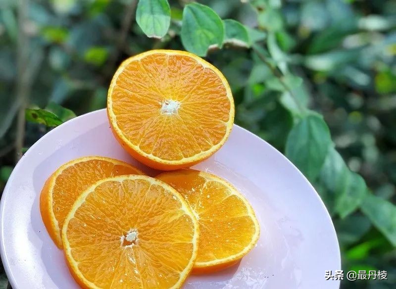 眉山盛产什么水果,眉山都有哪些水果