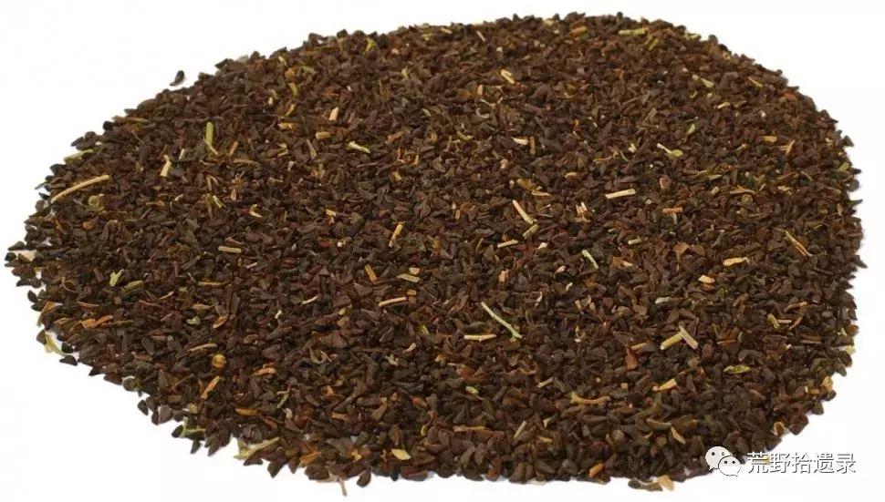 改变世界的植物:骆驼蓬PeganumharmalaL.