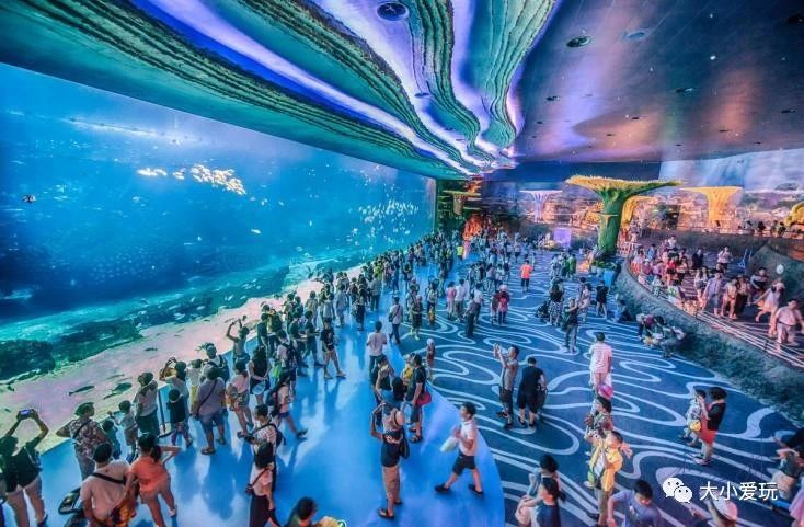 黄金周不用做攻略，这个海洋+科技的超大主题乐园，全家人都尽兴