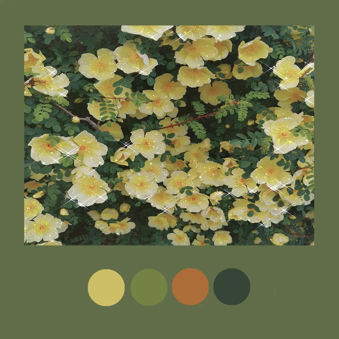 色彩里的构图,色彩中的光感