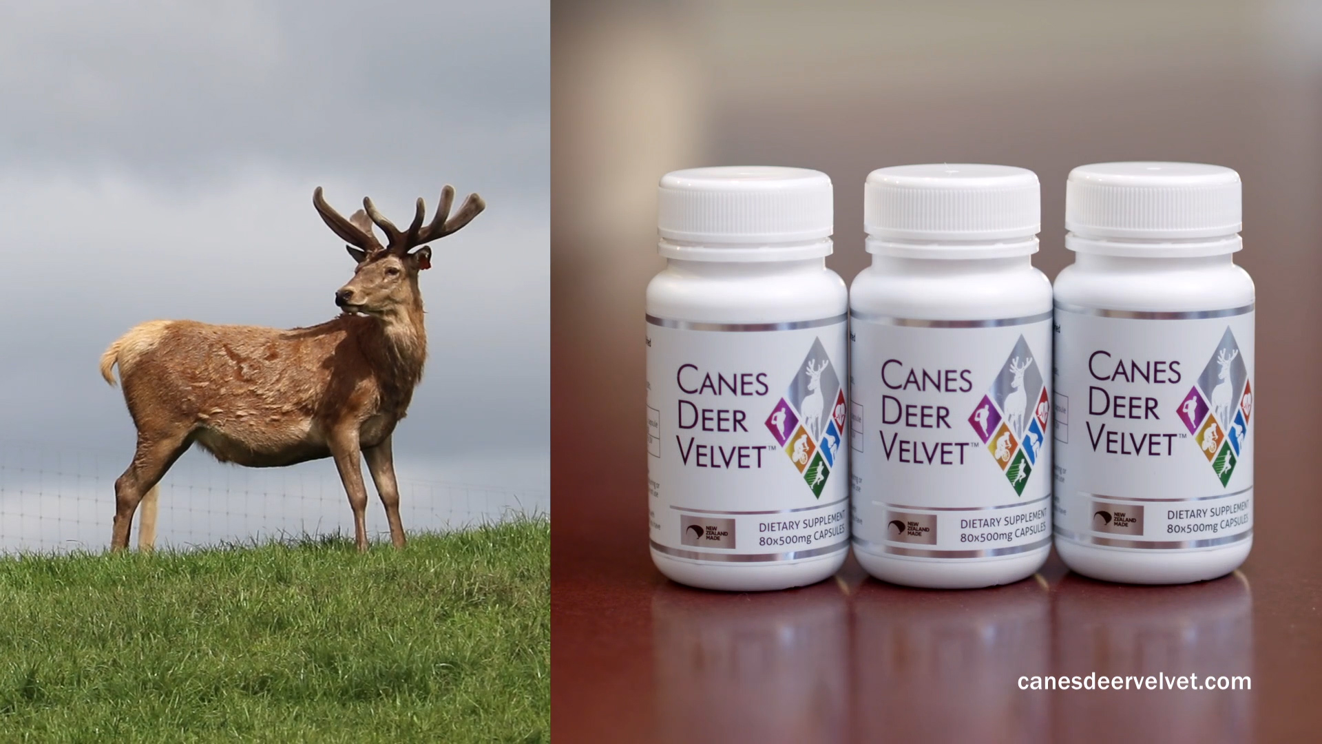 手术之后，新西兰CANES鹿茸胶囊帮你快速康复