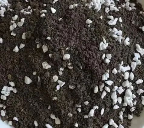 欧莱雅火山岩取自哪里,欧莱雅火山泥真的是火山吗