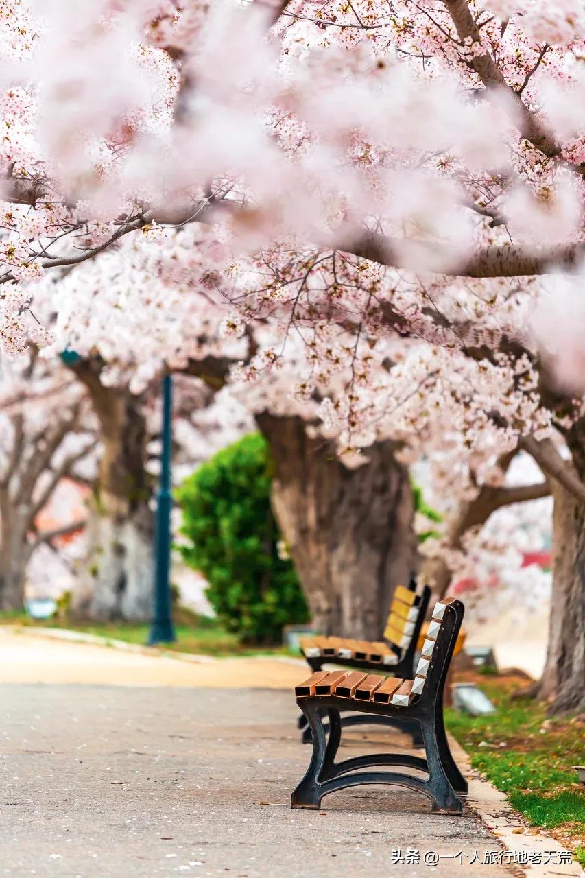 清明旅游一日游攻略,清明旅游三日游攻略