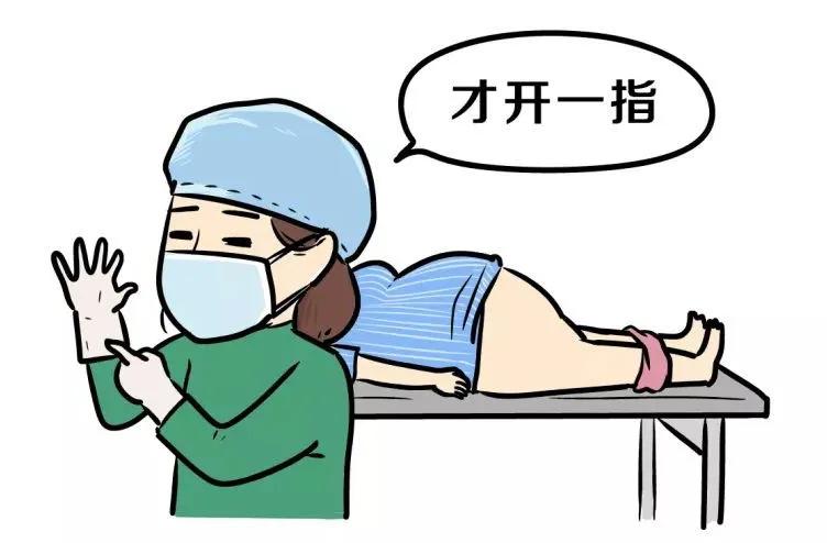 树袋宝宝高情商培养,树袋宝宝