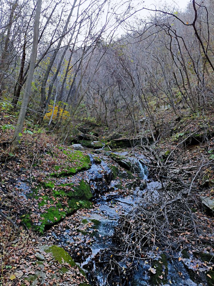 20201101惊悚之行~首阳山大坪梁单日横穿+原返