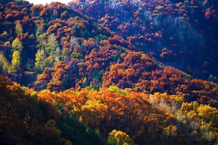 河北最牛的1个城市，承包了大半个中国的美