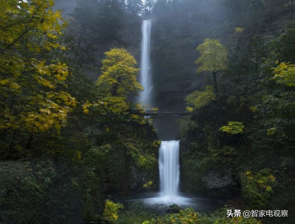 从盛极一时变得支离破碎,从鼎盛到衰亡的原因