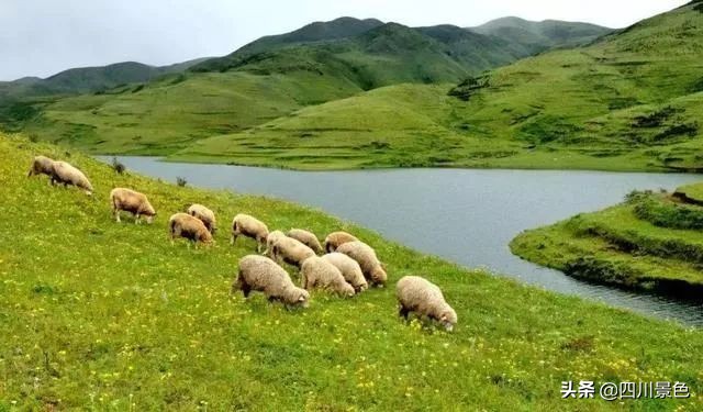 这才是旅游值得去的地方,这才是旅游城市该有的样子
