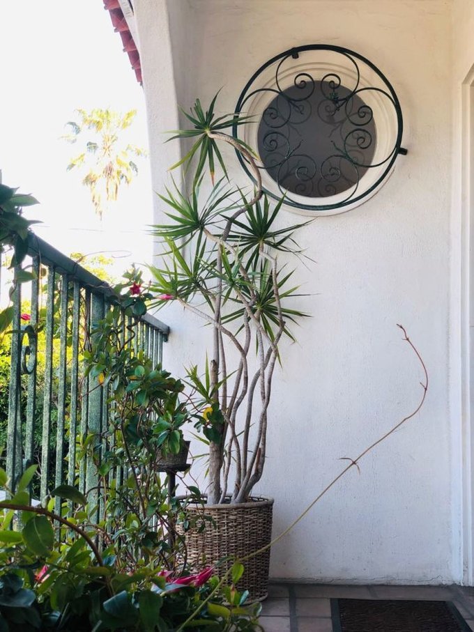 美国洛杉矶旅游七日游费用,美国洛杉矶旅游攻略视频