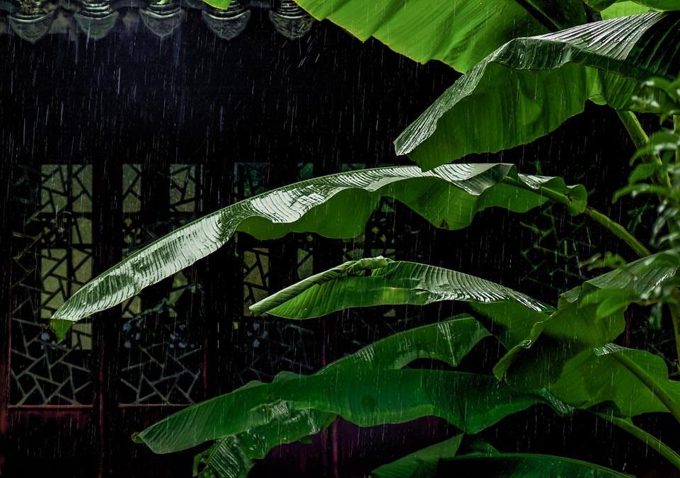 一场秋雨一场寒诗词,一场秋雨一场寒抒情版