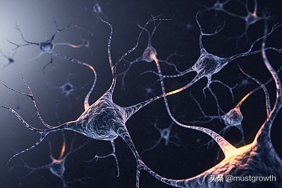 心中有佛所见皆佛是什么意思,心中有佛所见皆是佛是谁说的