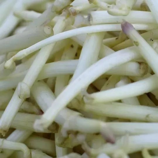 鏉ユ瘮鍒╂椂鐪嬪阀鍏嬪姏,鏉ユ瘮鍒╂椂甯︿粈涔堝阀鍏嬪姏鍥炲浗