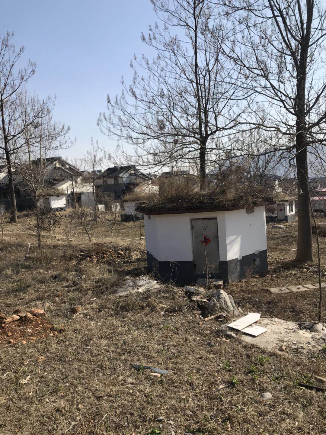 蜂缘蜂胶软胶囊的功效,蜂缘收藏