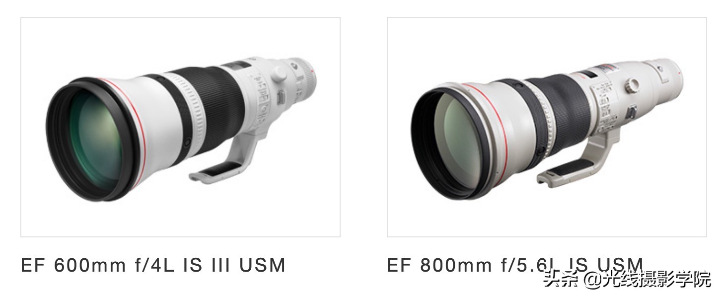 现在佳能相机什么型号最好,目前佳能最值得入手的单反相机