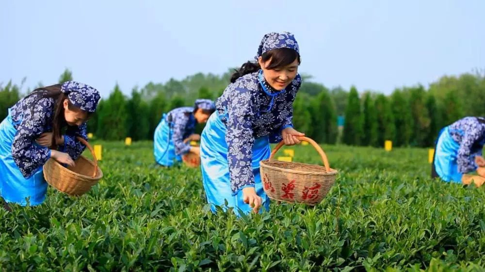 喜欢日照这座美丽的城市,突然爱上日照这座小城