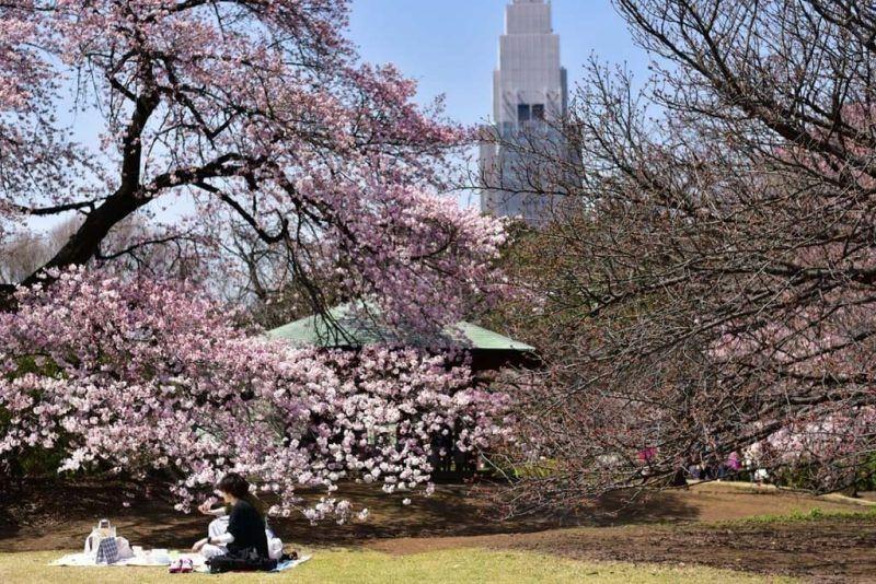 【日本樱花2019】东京美食攻略邻近赏樱景点|10间餐厅推介(上)