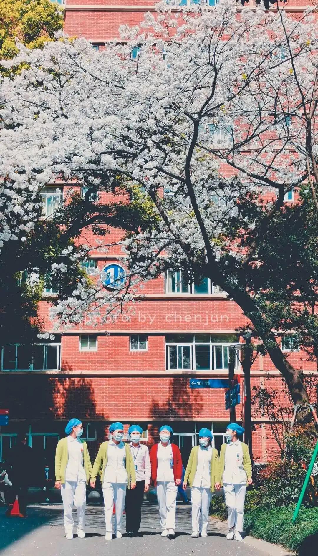 浙二互联网问诊量增35倍!隐形杀手超越浓硫酸|广济一周