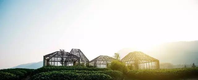 最美白衣战士,最美的白衣战士完整版