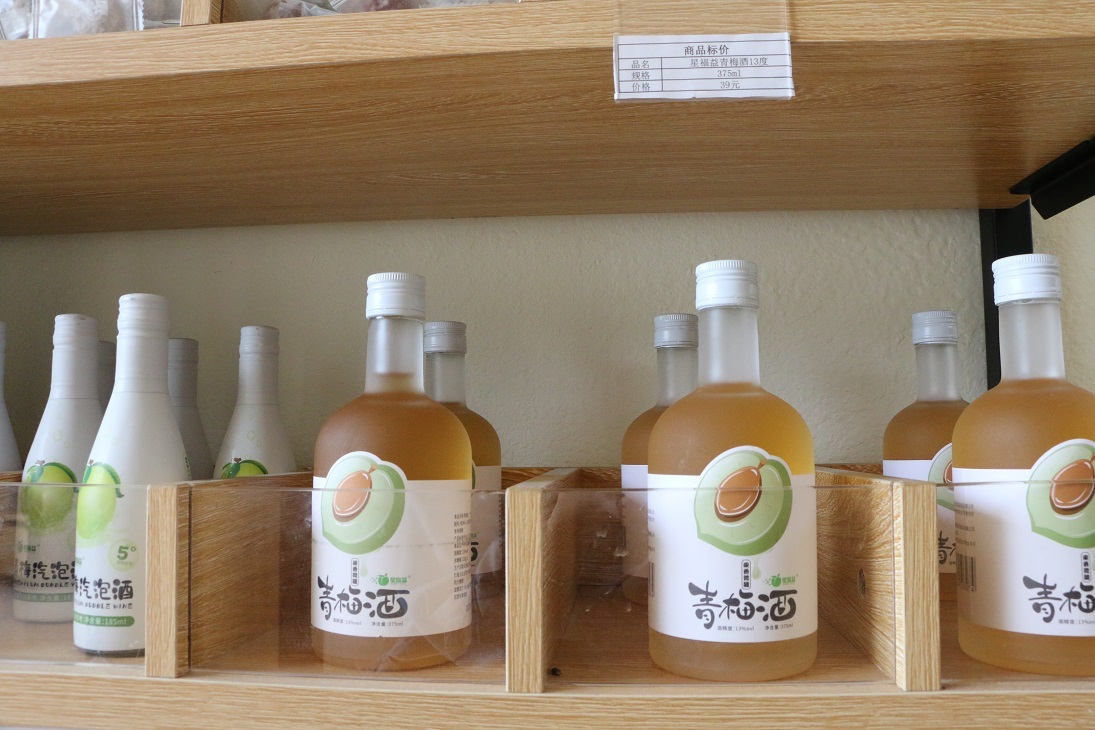 诏迎天下客,乐业青梅乡——诏安县聚力发展青梅产业