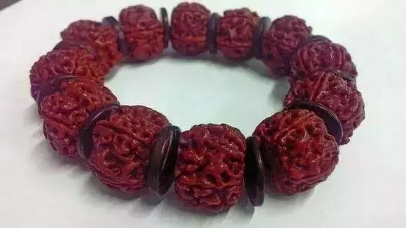 金刚菩提的刷盘方法,金刚菩提是刷红还是盘红