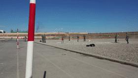 仰卧起坐4213个，单杠卷身上604个……*疆新**军区的兵，真牛