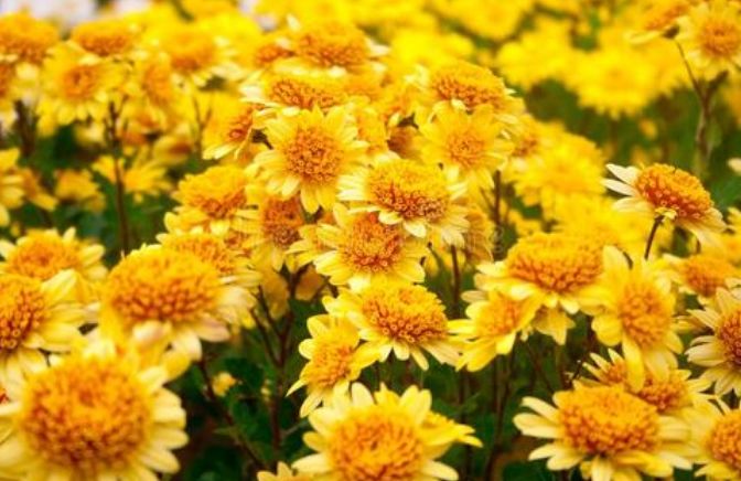 肛门塞异物很刺激？医生忙说：别乱来，快感之后全是悲伤