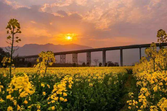成都最高的山海拔多高,成都爬最高的山