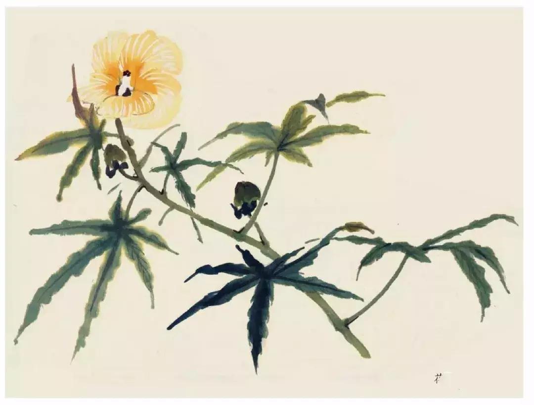 国画团扇花卉画法,国画中常见花卉的画法