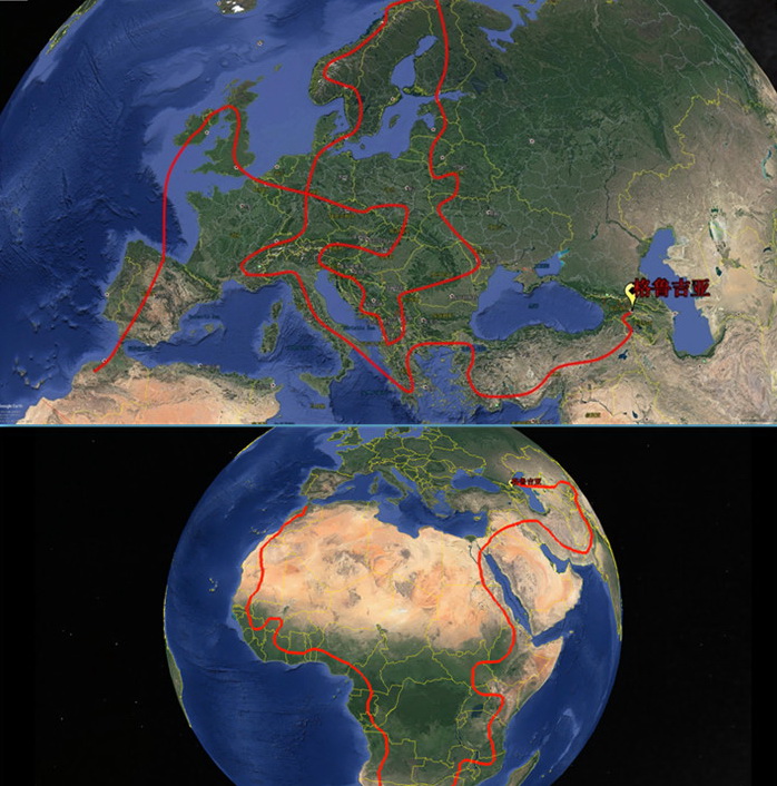 中国小伙儿海外淘车有诀窍，一眼看穿二手车的黑历史