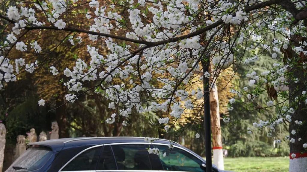 九大美院校园风景,中国九大美院校园风采