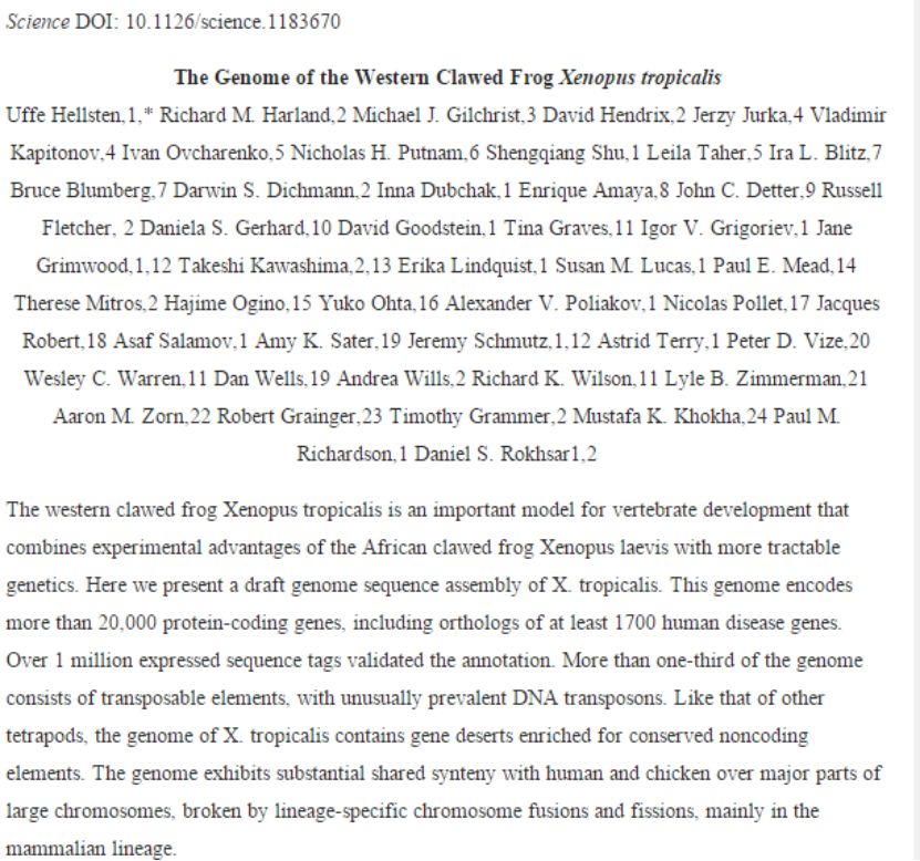 蛤?没想到你是这样的,爪蟾