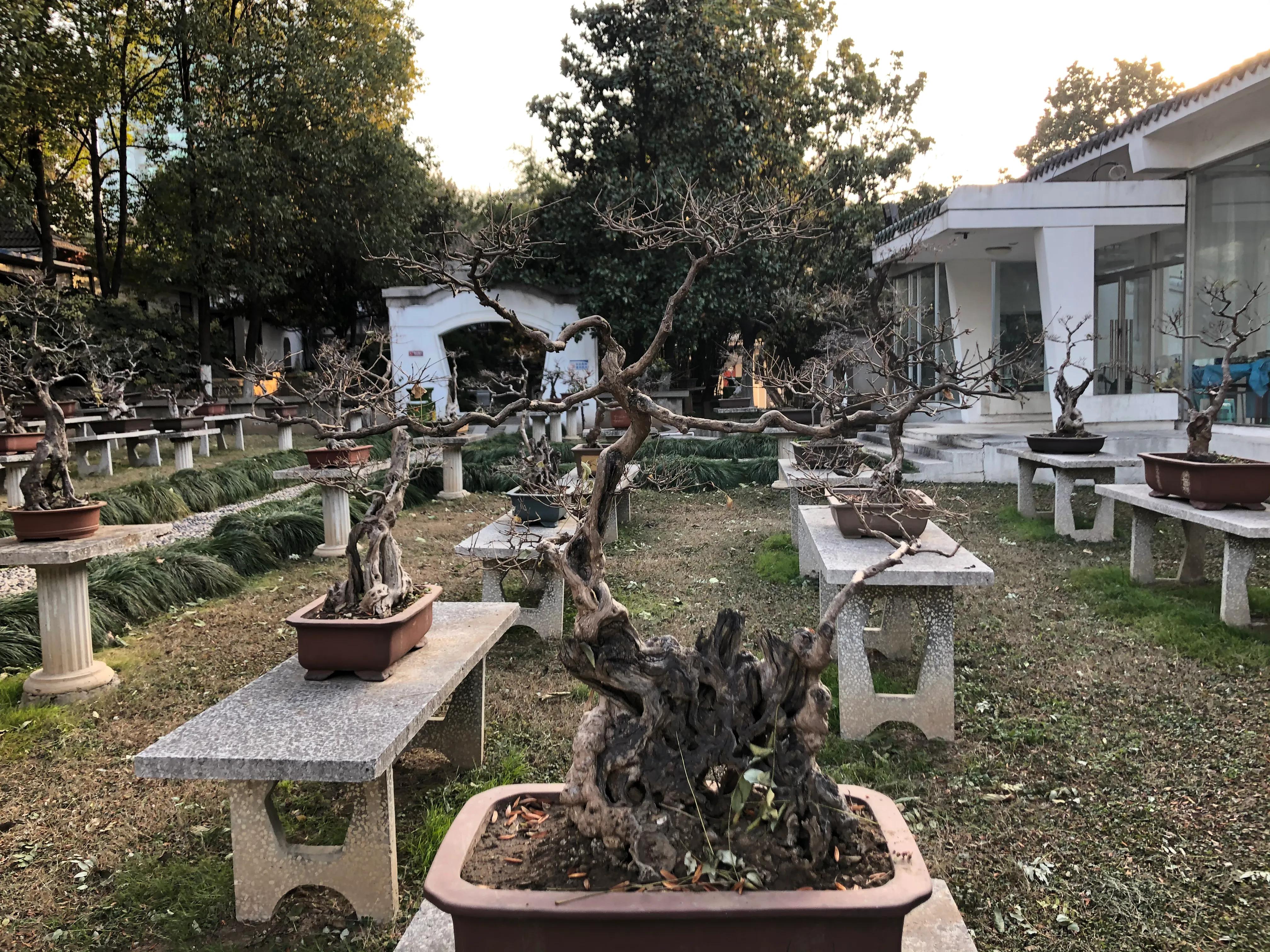 平顶山河滨公园旅游攻略,平顶山森林公园游记