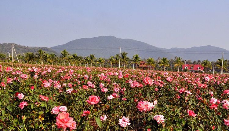 三亚海边人像摄影作品欣赏,世界旅游摄影作品欣赏