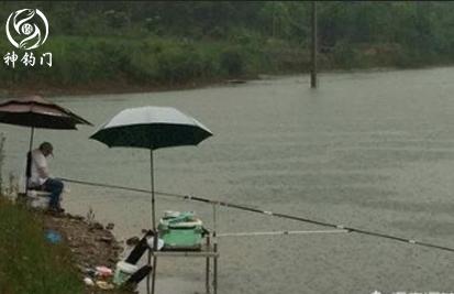 台钓钓箱好还是钓椅好,台钓钓箱有用吗