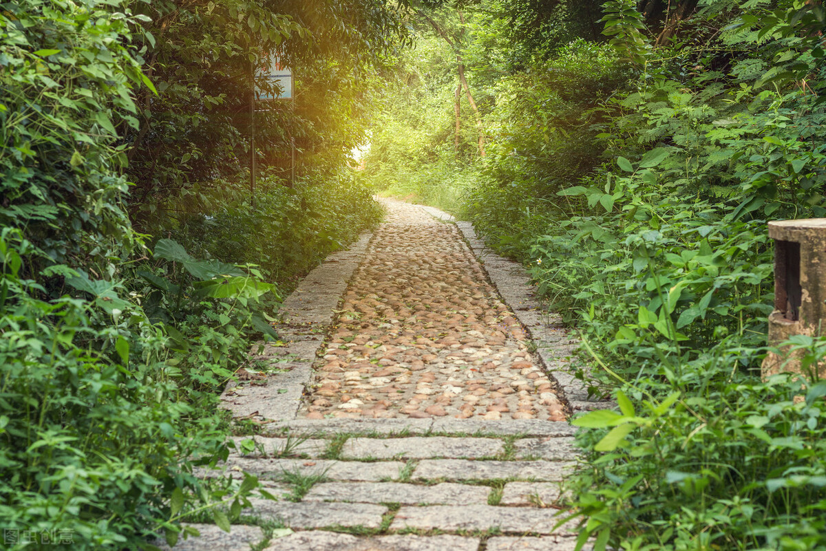 当你老了不能自理了,老人能自理却像废物一样让人伺候