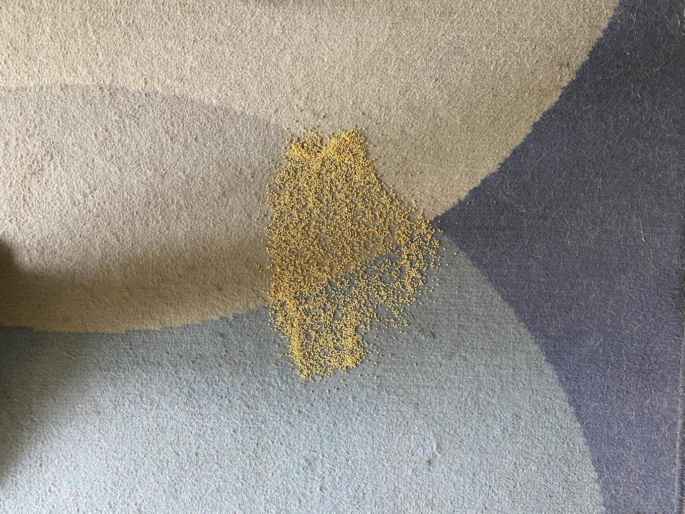 一人轻松扫全屋，娇小女生最爱用？顺造轻量手持吸尘器L1体验