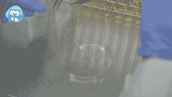 紫外线杀菌灯的杀菌范围,紫外线杀菌灯哪种好用